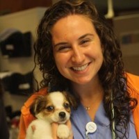 Vets Pets Employee Katherine Hoff's profile photo