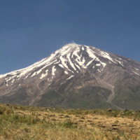 PTE Employee Mohammad Akbarian's profile photo