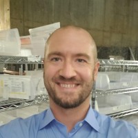 BlueBin Inc. Employee Matthew Birdsall's profile photo