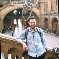 Michał Smolarek Email