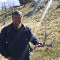 Levi Gunter Email & Phone Number