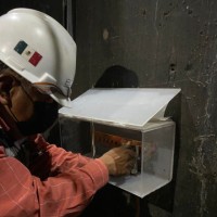 EPSOL Employee Miguel Angel Galindo Escobar's profile photo
