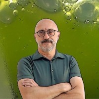 PhytoBloom - Microalgae by Necton Employee José Vanzeler de Melo's profile photo