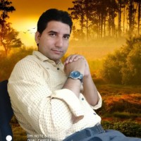 Sachin Sharma Email & Phone Number