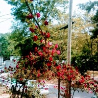 Empacadora de Aguacates Employee Reynaldo Lopez's profile photo