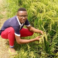 Federal Polytechnic OKo Employee Chukwudi Nwosu's profile photo