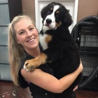 Woof Gang Bakery Employee Amanda Robertson's profile photo