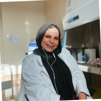 Hadil Elsayed Email