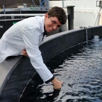 Cyanotech Corporation Employee Andres Bastias-Butler's profile photo