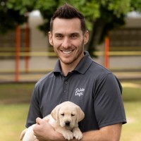 Grant Dixon Email