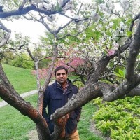 Diteba Employee Tauqir Nizami's profile photo