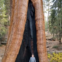 Advantive Employee Lance Long's profile photo