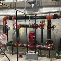 Michael Paul Email & Phone Number