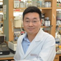 The University of Connecticut School of Medicine Employee Penghua Wang's profile photo