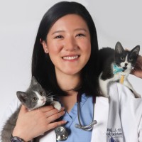 ACCESS Specialty Animal Hospitals Employee Megan Cootauco's profile photo