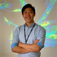 Johnson & Johnson Employee Kim Cheng's profile photo