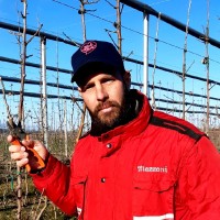 Daniele Molinari Email