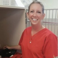 Midlothian Animal Clinic Employee Leslie Hearn's profile photo