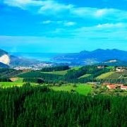 Publicate Employee Andres Fernandez Carral's profile photo