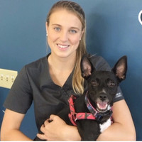 Peachtree Hills Animal Hospital Employee Taylor Oliveira's profile photo
