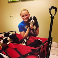 Badger Veterinary Hospital Employee Caitlyn Gerlach's profile photo