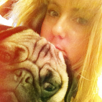 Nottingham Animal Hospital Employee Amy Cymanski's profile photo