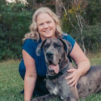 Veterinarian Partners Employee Amy Williams's profile photo