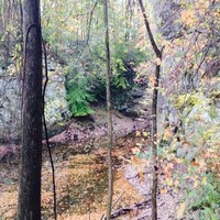 Dawn Tonneman Email & Phone Number
