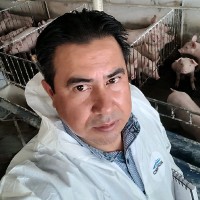 Jorge Adán Email