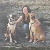 Amanda Link Email & Phone Number