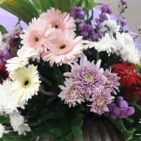 Home Spray Foam LLC Employee Nia Syamsiah's profile photo