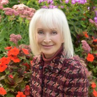 Strategic Objectives Employee Deborah Weinstein's profile photo