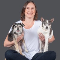 Kristina Calicchio Email & Phone Number