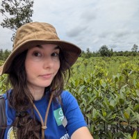 Natalie Orentlicher Email