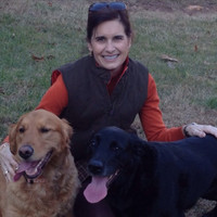 Community Financial Group Employee Maria Ross's profile photo