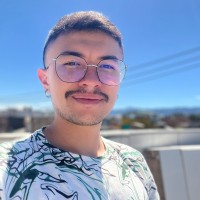 Hamilton Pico Ruiz Email