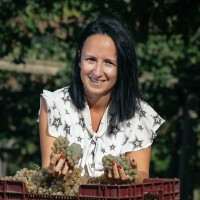Bodegas Martín Códax Employee Paula Lobato Mayans's profile photo