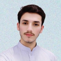 Adcelerate360° Employee Naqi Rahimi's profile photo