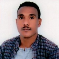 Ovid Group Employee Masresha Genzebie's profile photo