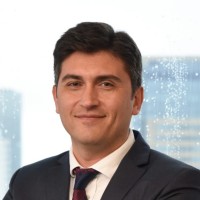 Arkas Line Employee Ti̇Muçi̇N Gülcan's profile photo