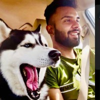 Yorkshire Valley Farms Employee Avininder Warya's profile photo