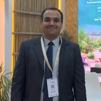 Ahmed Gomaa Email
