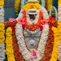 Pavithra N's profile photo