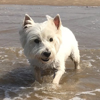 Lancaster University Employee David McGhee's profile photo