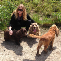 Institute of Education, University of London Employee Vivian Hill's profile photo