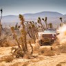 Earnhardt Ford Employee Jerry Samaniego's profile photo