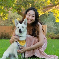 Figure, Inc. Employee Deborah Lee's profile photo