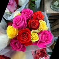 Sahera Tabassum Email