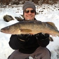 Chad Anderson Email & Phone Number