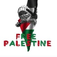 RDX Employee Wali Rana's profile photo